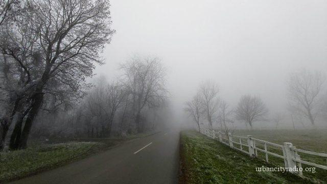 ljubicevo magla 1