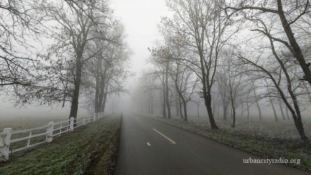ljubicevo magla 2