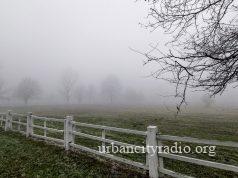 Ledeno i maglovito jutro u Požarevcu, tokom dana do 3°C