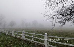 Mraz, magla i poledica u Požarevcu