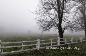 MOJA VEST: Ljubičevo pod maglom