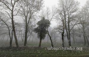 Ujutro mraz, tokom dana obačno i suvo, temperatura do jednog stepena