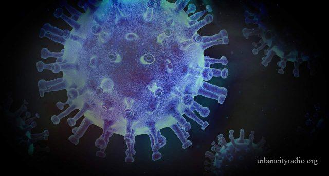 koronavirus 3