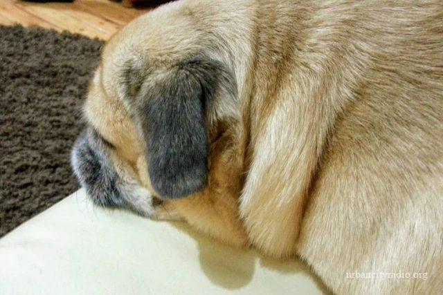 0_IMG_20140121_184044 (1)