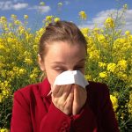 alergija polen (1)