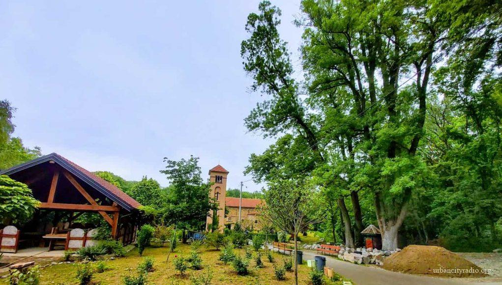 zaova maj 2020 1 bpopovic (1)