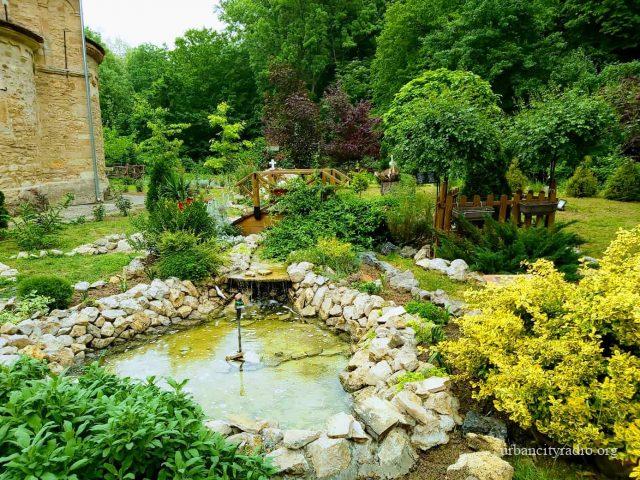 zaova maj 2020 4 bpopovic (1)