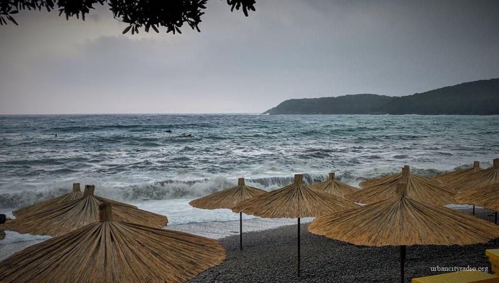 jaz budva 2019 bpopovic (1)