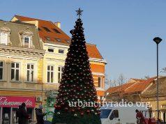 Postavljena novogodišnja jelka na kružnom toku u Požarevcu