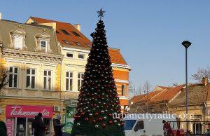 Postavljena novogodišnja jelka na kružnom toku u Požarevcu
