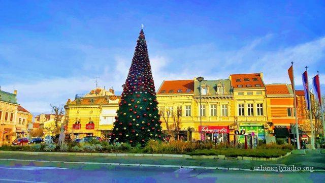 jelka centar (1)