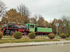 U Kostolcu zasađeno više od 90 mladih četinara