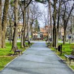park 2021 (1)