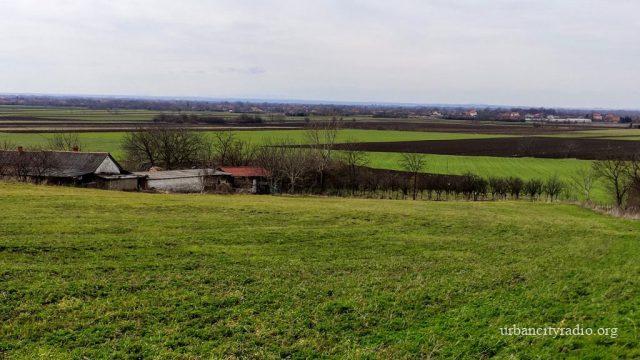 vatra njiva strnjika (1)
