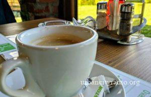 Kafenisanje uz omiljenu knjigu u Kostolcu