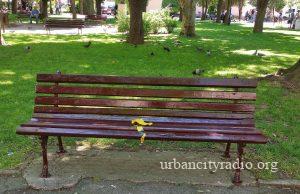 Osvežene klupe u Gradskom parku