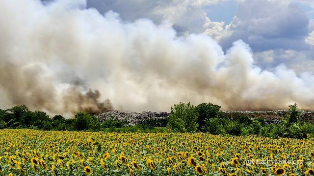 IMG_20210703_140753~2