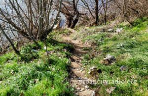 Saopšten način na koji je ubijena porodica Đokić