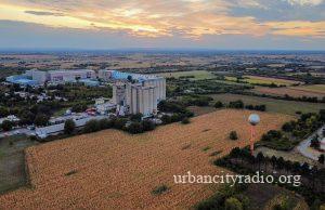 Poljoprivrednici iz Požarevca čekaju odgovor Ministarstva poljoprivrede o otkupnoj ceni suncokreta