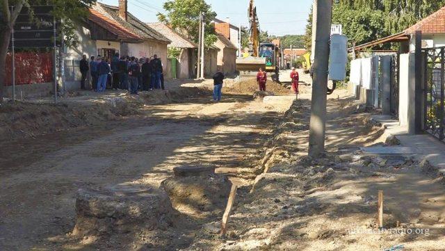 ratarska radoviž (1)