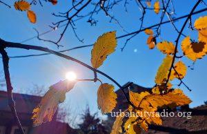 Danas pretežno sunčano i toplije