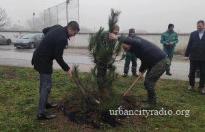 Grad Požarevac, RIO i Bambi zasadili sadnice drveća kod Atletskog stadiona