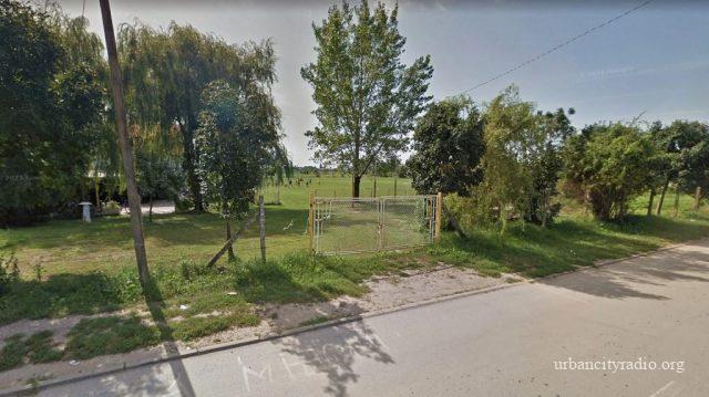 mip stadion (1)