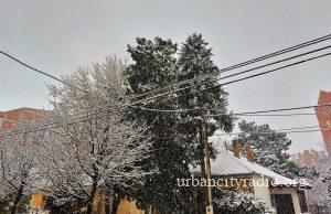 Sneg iznenadio Požarevljane