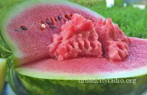 Od danas u Požarevcu počinje prodaja lubenica i dinja na 19 lokacija