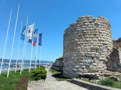 Na prostoru Bugarske pronađeni fosili direktnog pretka današnjih pandi