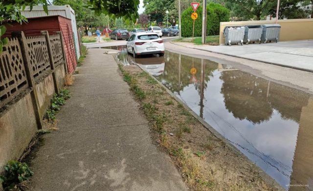 IMG20220706084452 (1)