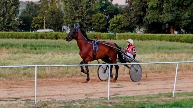 Hipodrom kasačke trke