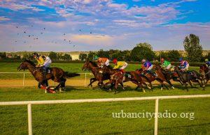 Trka “Ljubičevo”, 59. LjKI