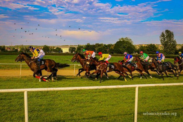 trka ljubicevo 59. ljki