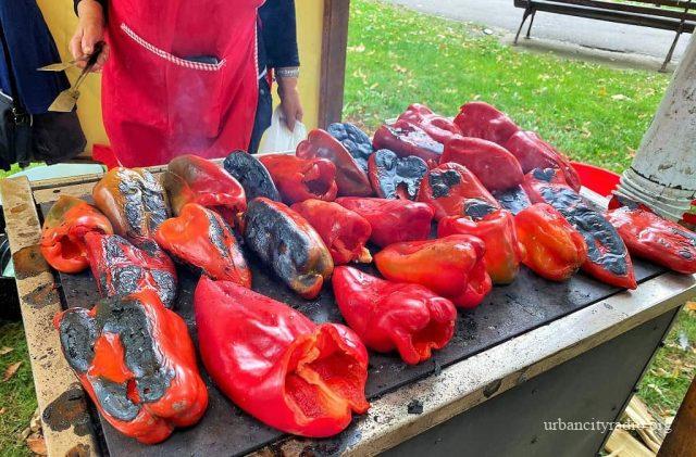 izadji mi na teglu 2022 požarevac 4