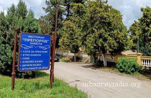 Izložba pasa u parku restorana „Preporod“ u Zabeli 23. avgusta