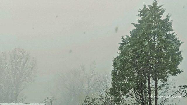 sneg požarevac 2023