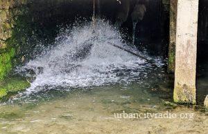 Vodenice u selu Bistrica u Braničevskom okrugu među najugorženijim lokalitetima u Evropi