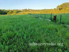 Park za pse neupotrebljiv, zarastao u korov