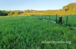 Park za pse neupotrebljiv, zarastao u korov