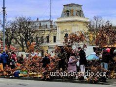 Tradicionalna prodaja novogodišnjih jelki sa busenom počinje u Požarevcu