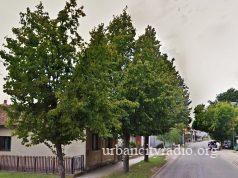 Gradiće se još jedna zgrada u Nemanjinoj ulici u Požarevcu