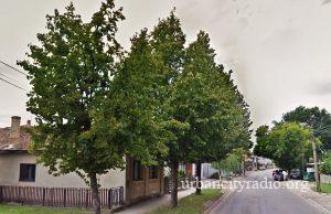 Gradiće se još jedna zgrada u Nemanjinoj ulici u Požarevcu