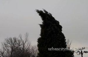 Košava i dalje jaka, krajem nedelje u slabljenju