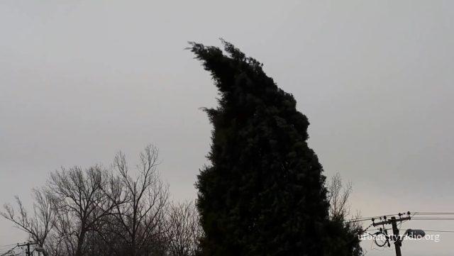 vetar-požarevac-min