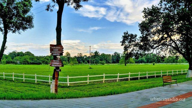 ljubicevo ergela