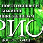 RIO NG DESNO 2025