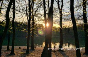 Oblačno sa kišom i košavom, posle podne razvedravanje