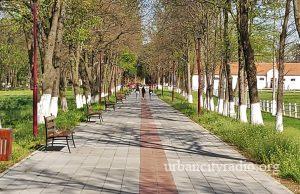 Toplo i vetrovito u Požarevcu, krajem dana promena vremena