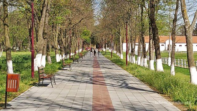 ergela ljubicevo prolece